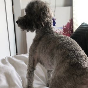 Meet your Posher, James